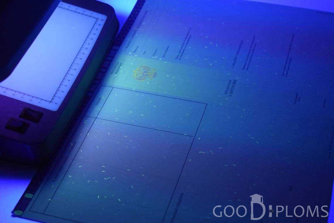Приложение к Диплому Бакалавра с Отличием в Ультрафиолете период c 2013 по 2025 год - Долгопрудный