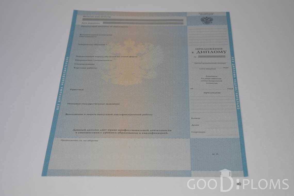 Приложение к Диплому Магистра в период c 2009 по 2010 год - Долгопрудный
