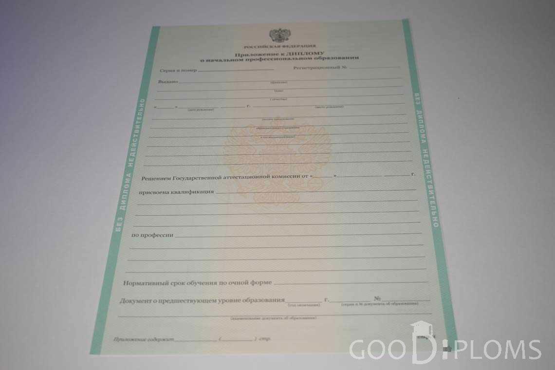 Приложение к Диплому Училища период выдачи 2011-2020  -  Долгопрудный