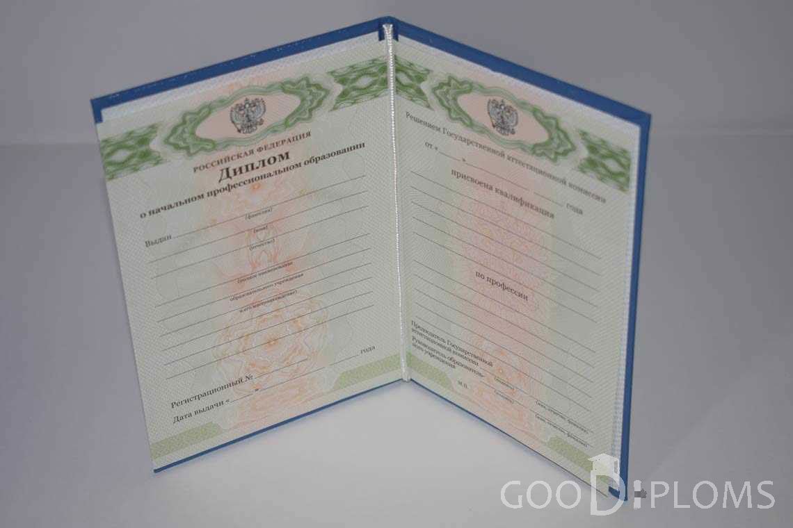 Диплом Училища период выдачи 2011-2020  -  Долгопрудный