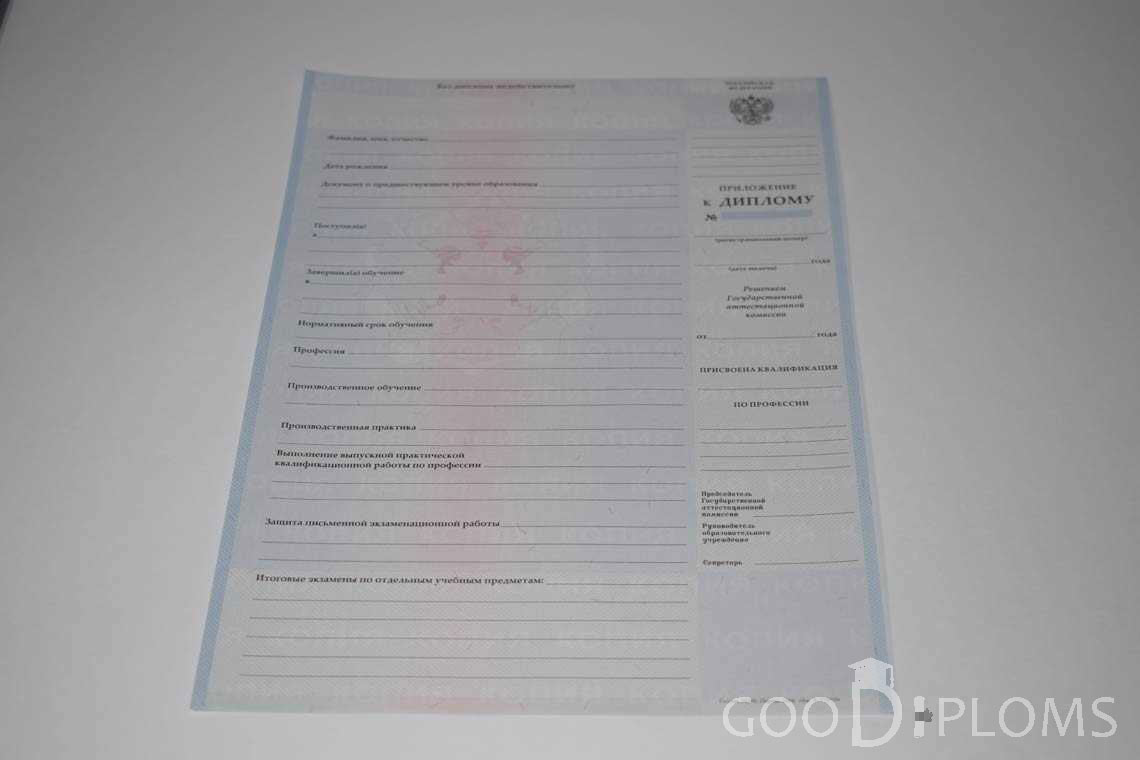 Приложение к Диплому Техникума с Отличием в период c 2008 по 2010 год - Долгопрудный
