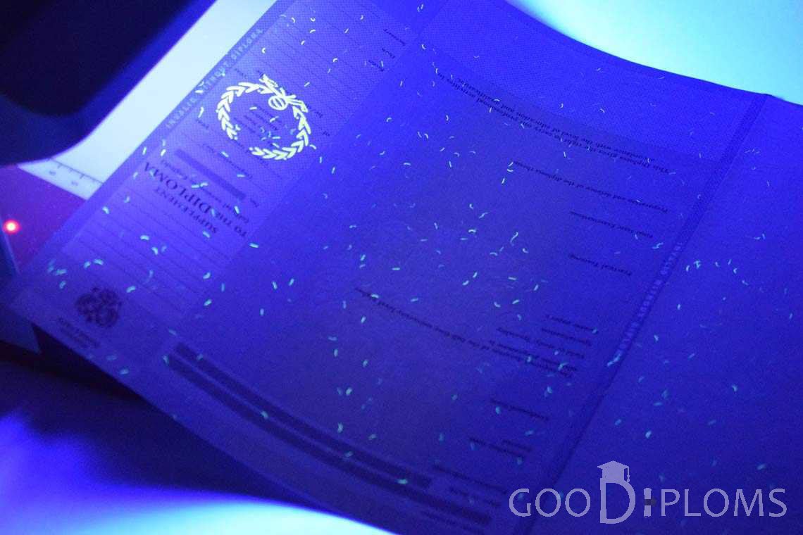 Приложение к Диплому Для Иностранных Граждан в Ультрафиолете - Долгопрудный