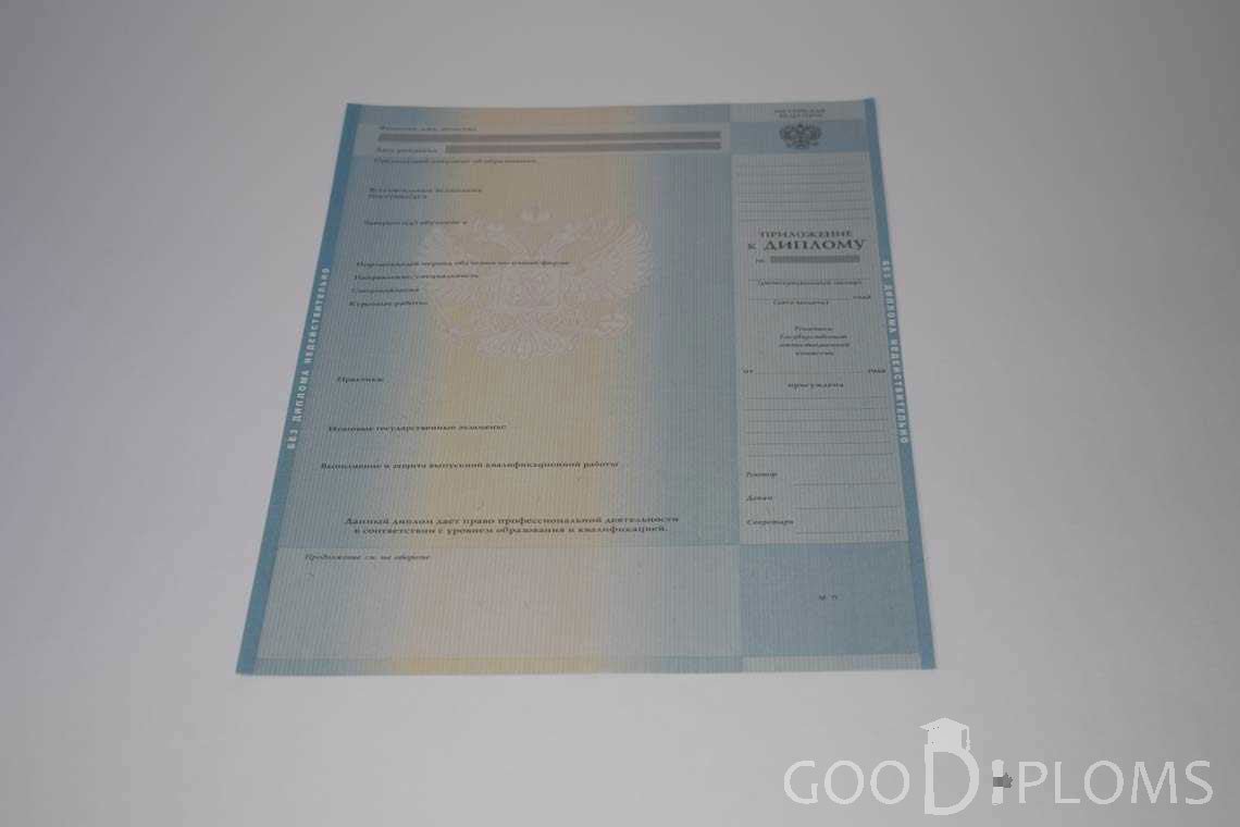 Приложение к Диплому о Высшем Образовании с Отличием - Долгопрудный
