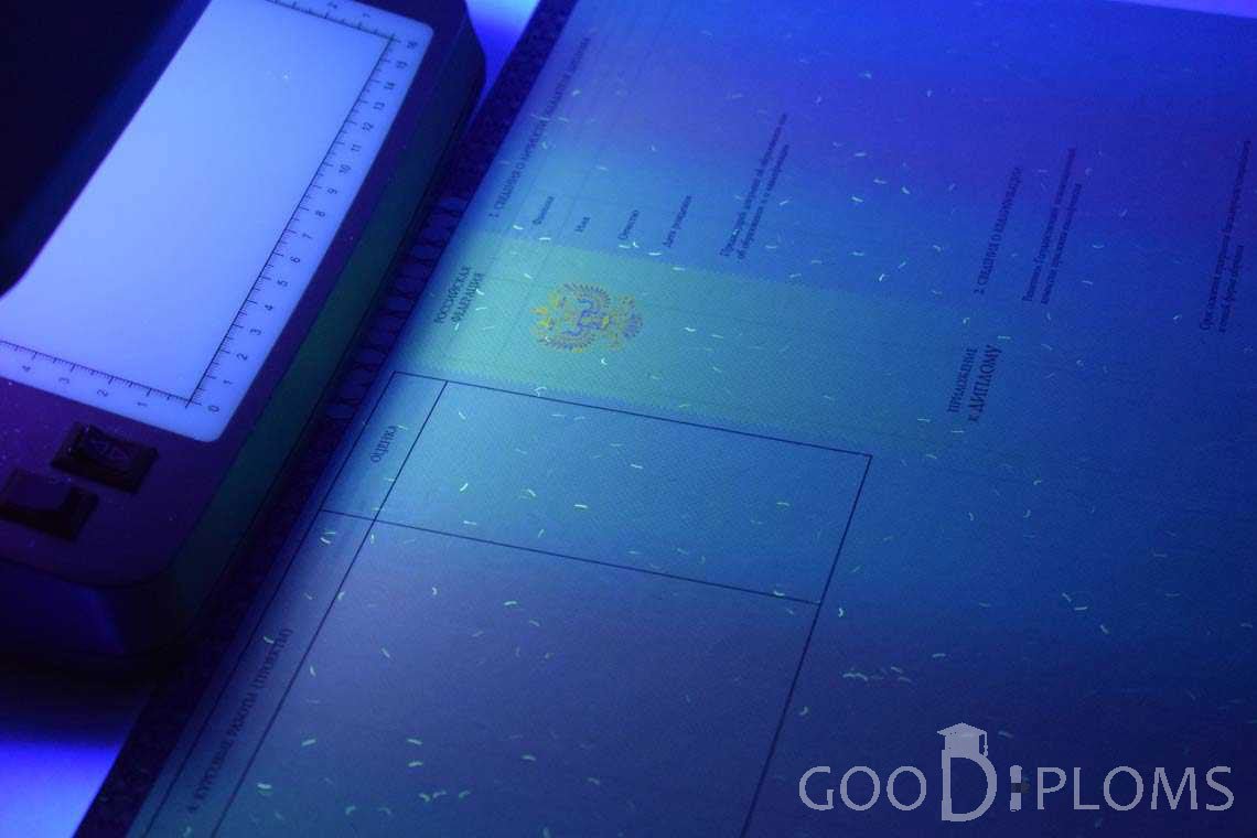 Приложение к Диплому о Высшем Образовании с Отличием в Ультрафиолете - Долгопрудный